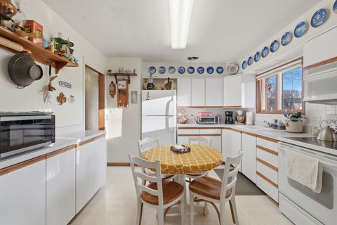 Tiny photo for 731 N Gibbons Avenue, Arlington Heights, IL 60004 (MLS # 12590160)