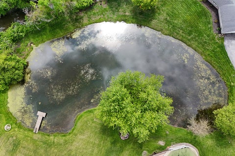 Tiny photo for 13 Riegel Oaks Lane, Homewood, IL 60430 (MLS # 12700845)