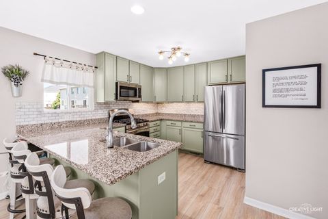 Tiny photo for 24629 Patriot Square Drive S, Plainfield, IL 60544 (MLS # 12660005)