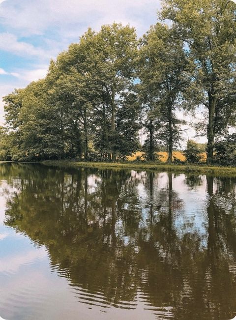 Tiny photo for 701 Old Johnston City Road, West Frankfort, IL 62896 (MLS # 12572305)