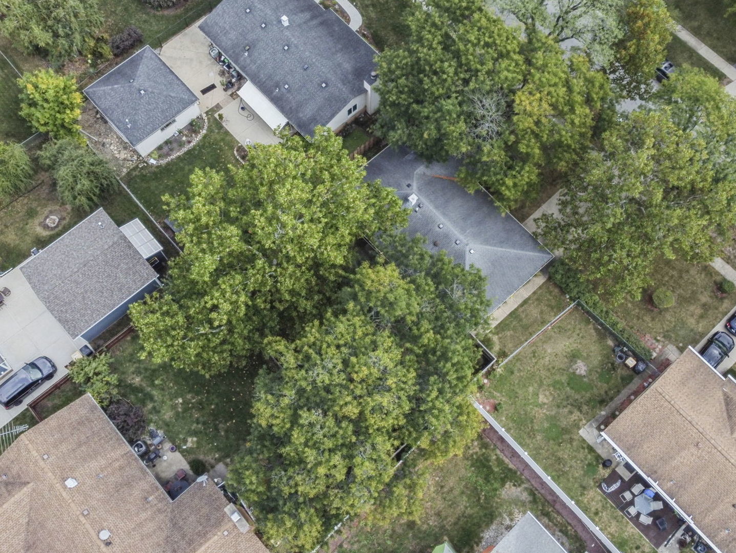 1194 Cedar Lane