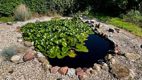 Tiny photo for 406 S Genesee Street, Morrison, IL 61270 (MLS # 12339080)