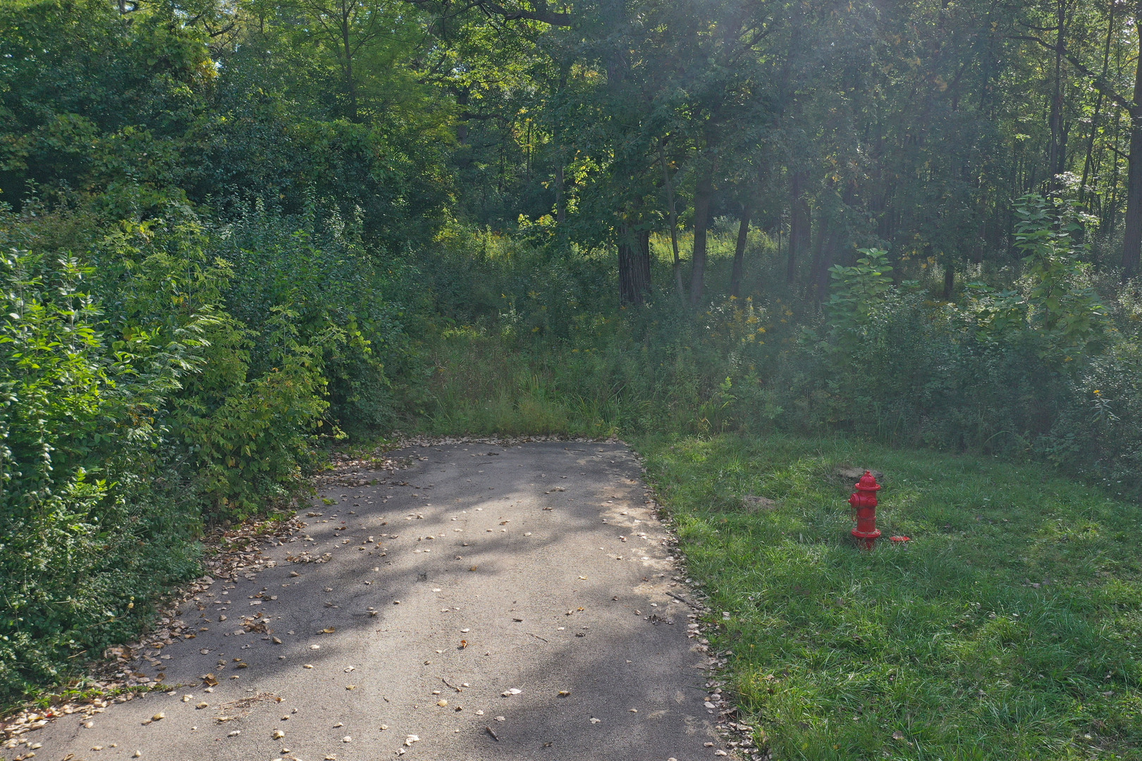 Lot 4 Whitehall Lane