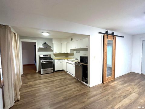 Tiny photo for 1206 W Chautauqua Street, Carbondale, IL 62901 (MLS # EB460671)