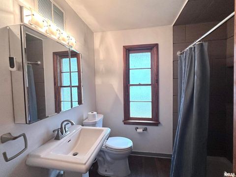 Tiny photo for 1206 W Chautauqua Street, Carbondale, IL 62901 (MLS # EB460671)