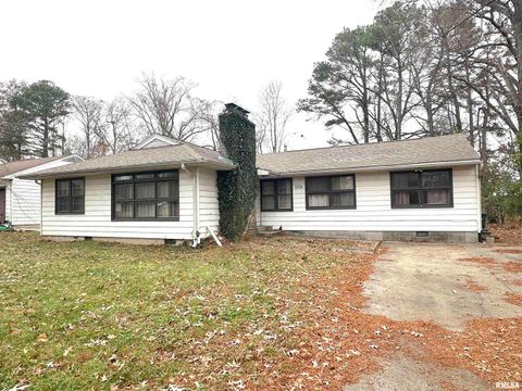 Photo of 1206 W Chautauqua Street, Carbondale, IL 62901 (MLS # EB460671)