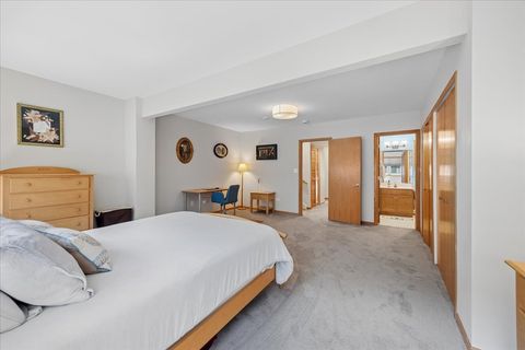 Tiny photo for 609 South Boulevard #E, Oak Park, IL 60302 (MLS # 12675801)
