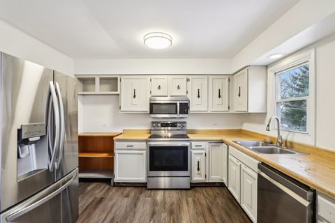 Tiny photo for 413 Plum Street, Lake In The Hills, IL 60156 (MLS # 12538199)