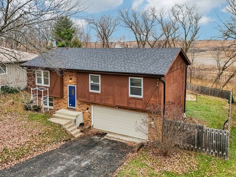 Photo of 413 Plum Street, Lake In The Hills, IL 60156 (MLS # 12538199)