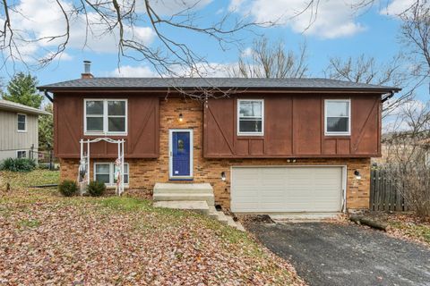 Tiny photo for 413 Plum Street, Lake In The Hills, IL 60156 (MLS # 12538199)