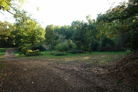 A home in Custer Park