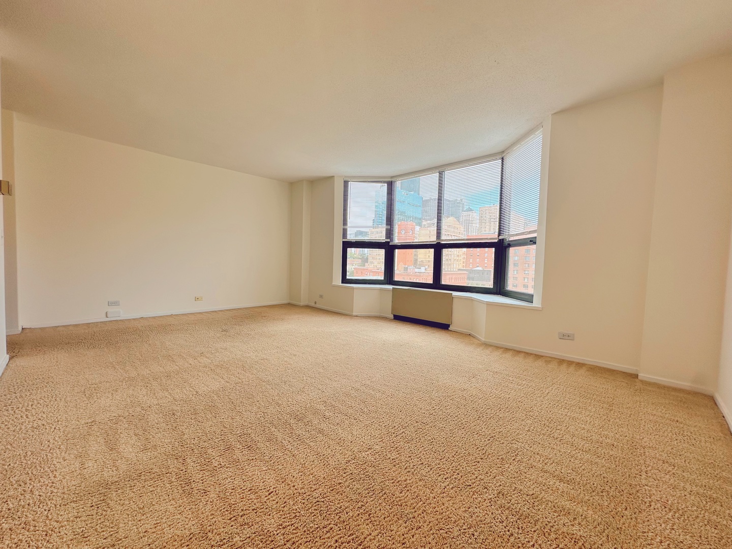 899 S PLYMOUTH Court 501