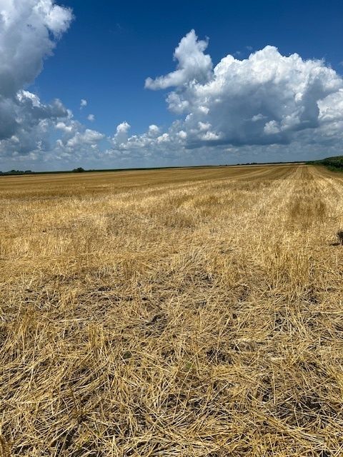 17 Route Road, Varna, IL 61375 - #: 12418333