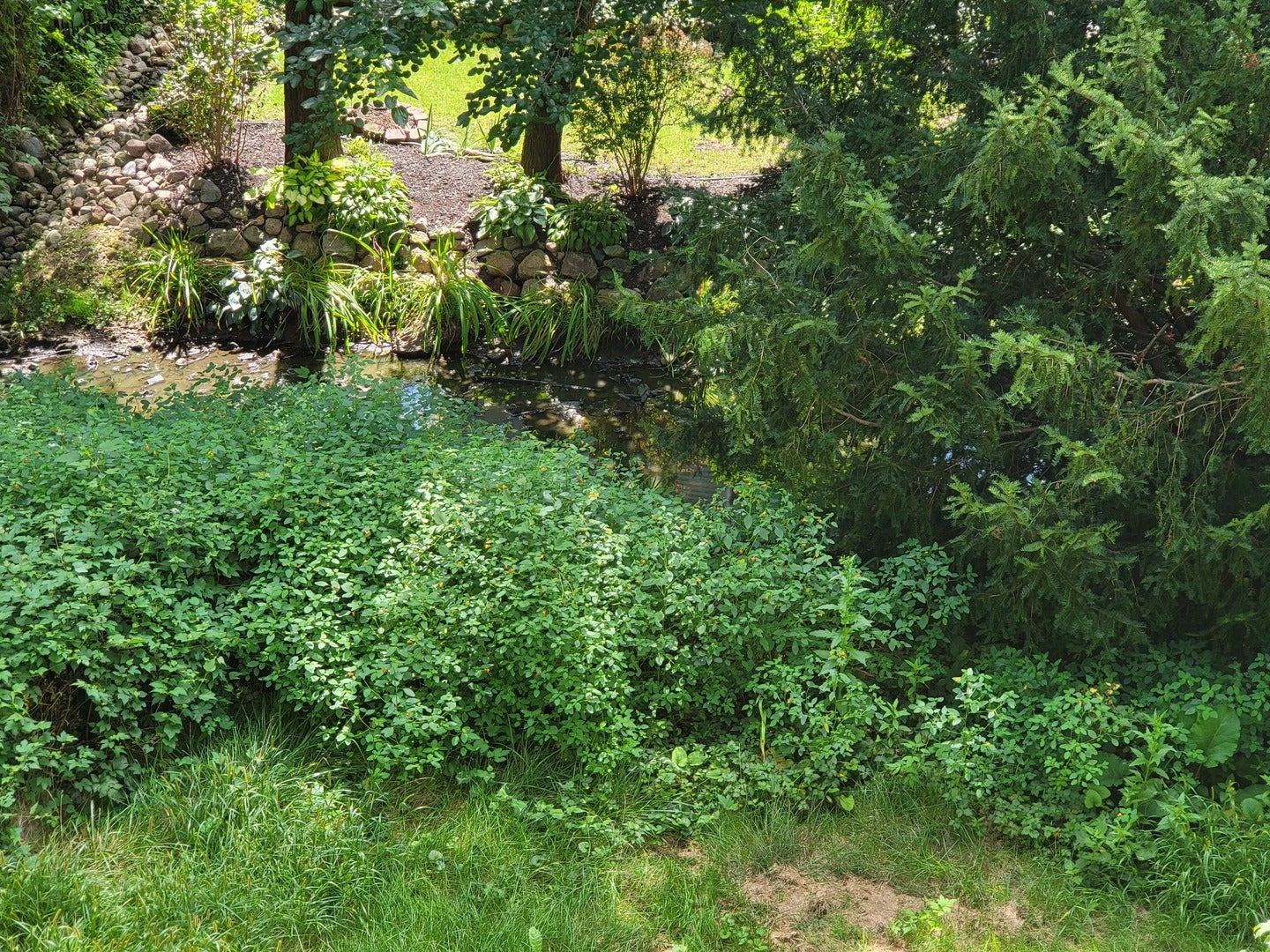 21317 W Shady Lane