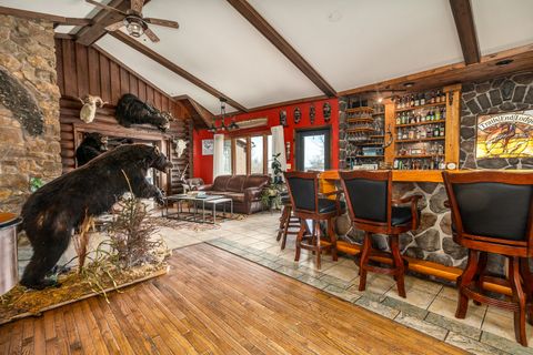 Tiny photo for 1425 Skyline Drive, Cobden, IL 62920 (MLS # 12577016)