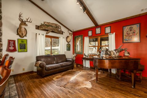 Tiny photo for 1425 Skyline Drive, Cobden, IL 62920 (MLS # 12577016)