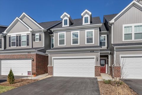 Photo of 616 Switchgrass Lane #61005, Bolingbrook, IL 60490 (MLS # 12595339)