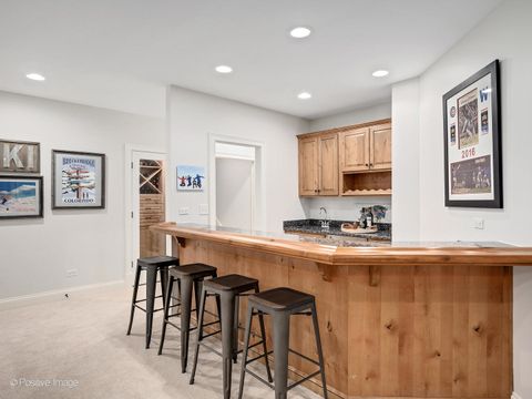 Tiny photo for 401 Birchwood Road, Hinsdale, IL 60521 (MLS # 12481082)