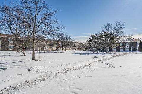 Tiny photo for 8856 N Northshore Drive #2C, Des Plaines, IL 60016 (MLS # 12548980)
