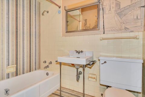 Tiny photo for Chicago, IL 60643 (MLS # 12630570)