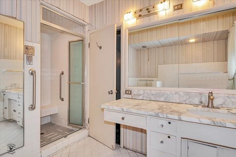 Tiny photo for Chicago, IL 60643 (MLS # 12630570)