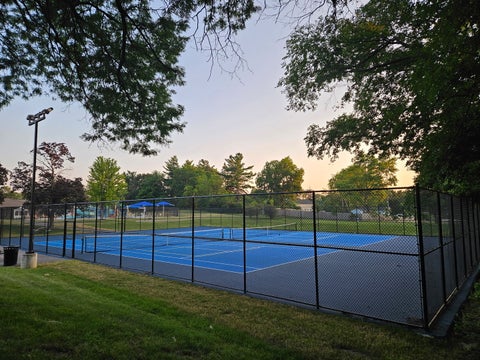 Tiny photo for 245 S Prospect Street, Roselle, IL 60172 (MLS # 12702161)