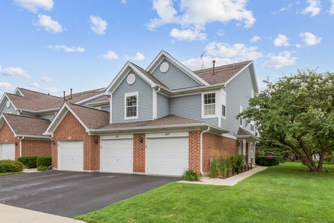 Photo of 283 Ashbury Lane W, Roselle, IL 60172 (MLS # 12572759)