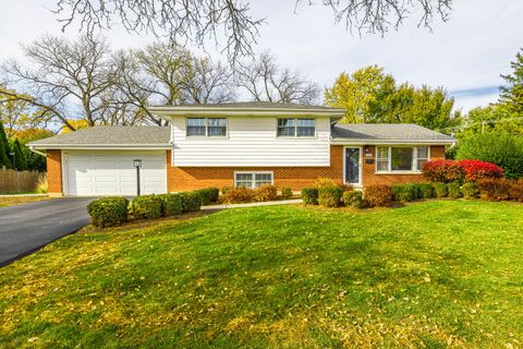 Photo of 5518 Wilcox Avenue, Downers Grove, IL 60516 (MLS # 12457553)