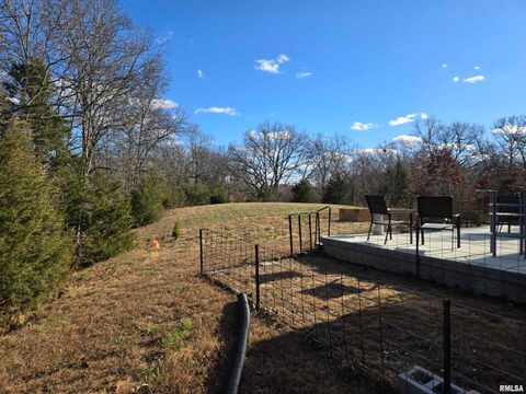 Tiny photo for 1436 1100 E Street, Mt Sterling, IL 62353 (MLS # QC4269682)