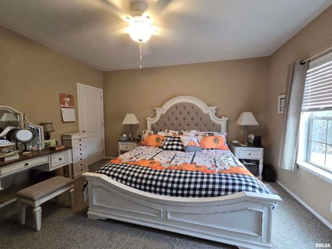 Tiny photo for 1436 1100 E Street, Mt Sterling, IL 62353 (MLS # QC4269682)