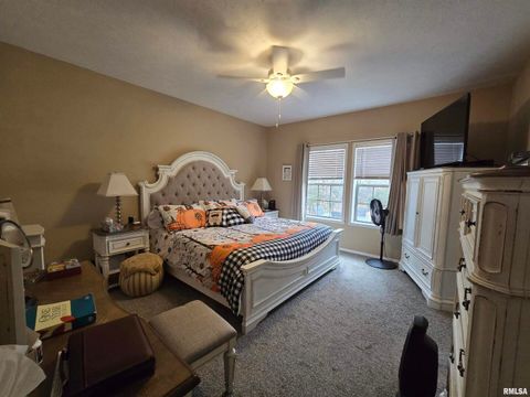 Tiny photo for 1436 1100 E Street, Mt Sterling, IL 62353 (MLS # QC4269682)