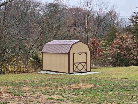 Tiny photo for 1436 1100 E Street, Mt Sterling, IL 62353 (MLS # QC4269682)