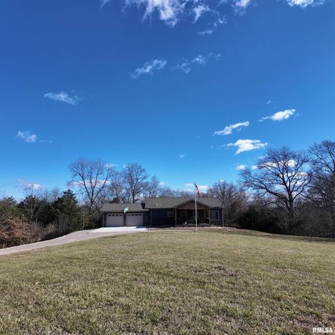 Tiny photo for 1436 1100 E Street, Mt Sterling, IL 62353 (MLS # QC4269682)