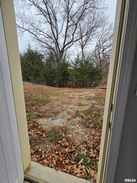 Tiny photo for 1436 1100 E Street, Mt Sterling, IL 62353 (MLS # QC4269682)