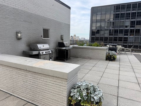 Tiny photo for 253 E Delaware Place #8A, Chicago, IL 60611 (MLS # 12785416)