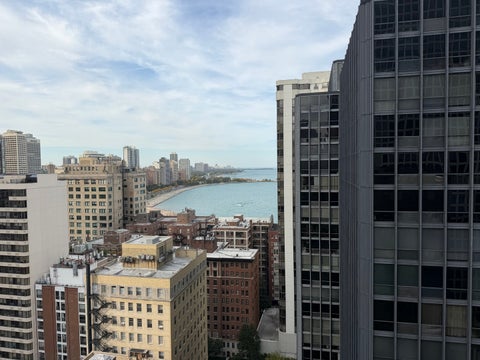 Tiny photo for 253 E Delaware Place #8A, Chicago, IL 60611 (MLS # 12785416)