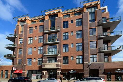3631 N Halsted Street 210 Chicago IL 60613