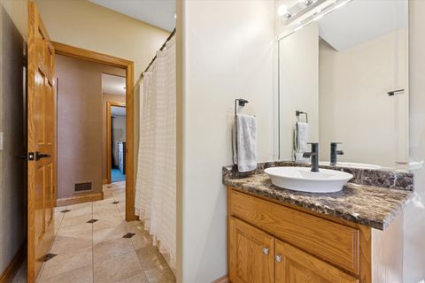 Tiny photo for 7258 W James Lane, Monee, IL 60449 (MLS # 12447803)