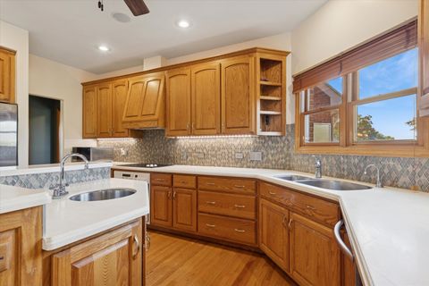 Tiny photo for 7258 W James Lane, Monee, IL 60449 (MLS # 12447803)