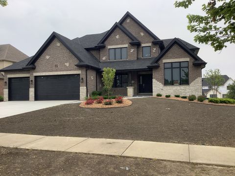12415 FOXBOROUGH Drive Mokena IL 60448