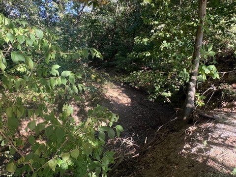 Tiny photo for 1202 S Mudline Road, Murphysboro, IL 62966 (MLS # 12780962)