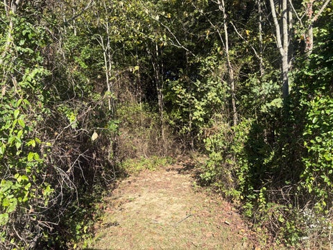 Tiny photo for 1202 S Mudline Road, Murphysboro, IL 62966 (MLS # 12780962)