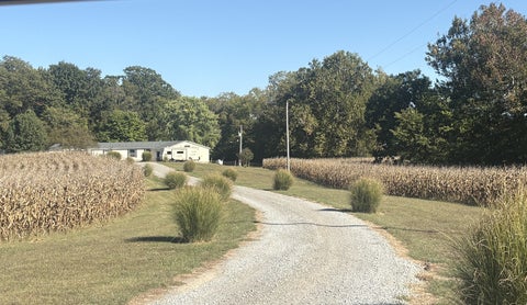 Tiny photo for 1202 S Mudline Road, Murphysboro, IL 62966 (MLS # 12780962)