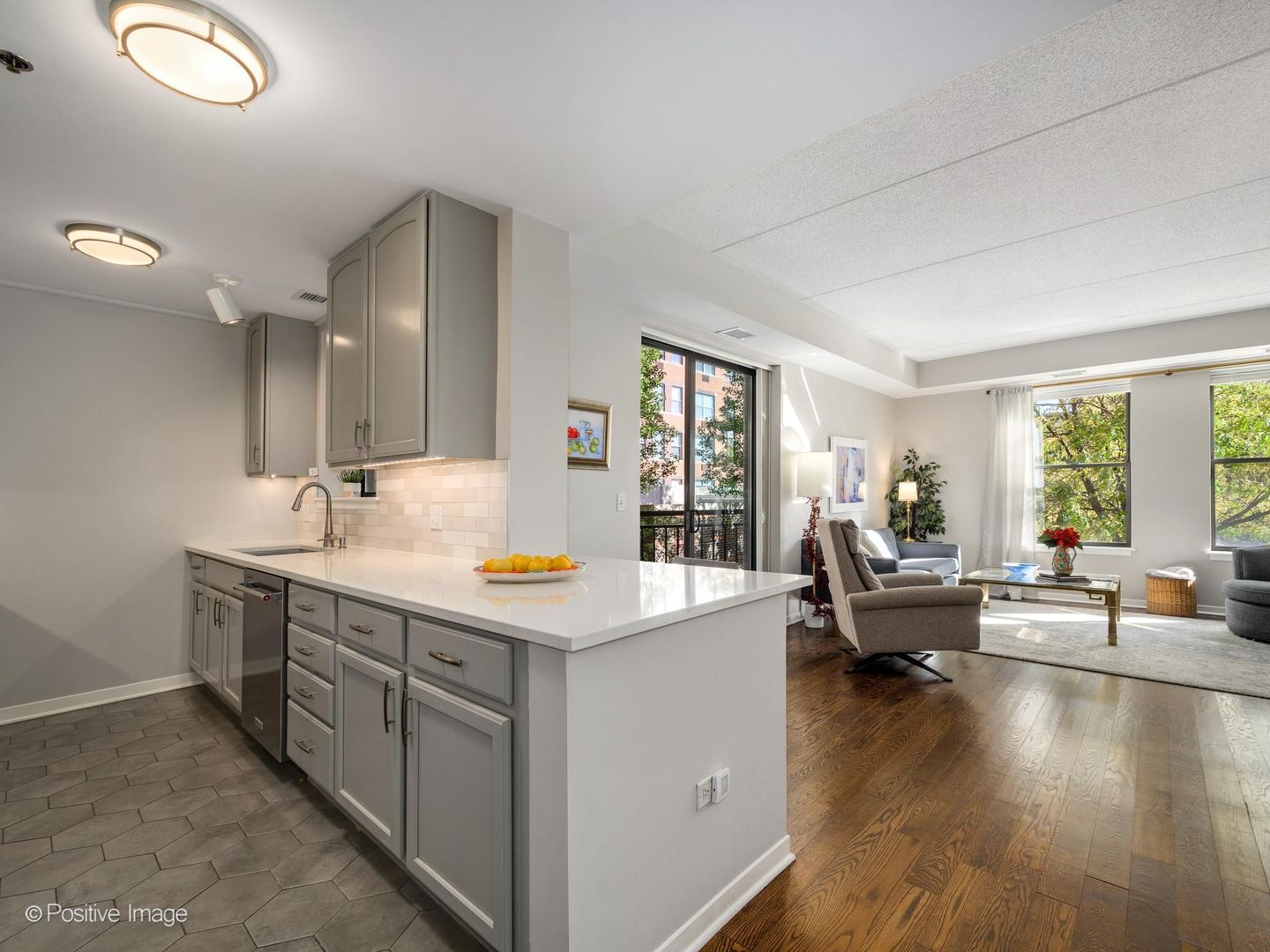 2335 W Belle Plaine Avenue 209