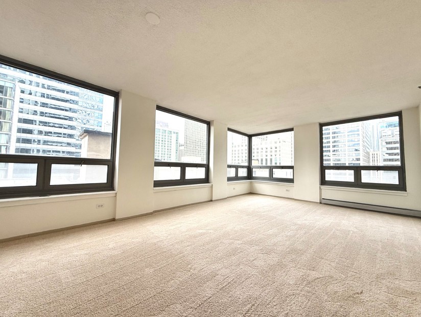 440 N Wabash Avenue 1008