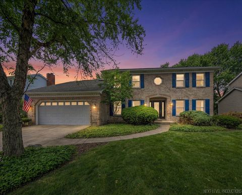 Photo of 628 Flock Avenue, Naperville, IL 60565 (MLS # 12569955)