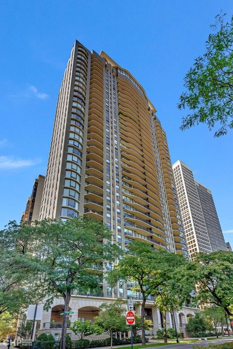 1040 N Lake Shore Drive 17B Chicago IL 60611