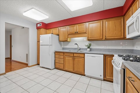 Tiny photo for 10 S Wille Street #301, Mount Prospect, IL 60056 (MLS # 12790285)