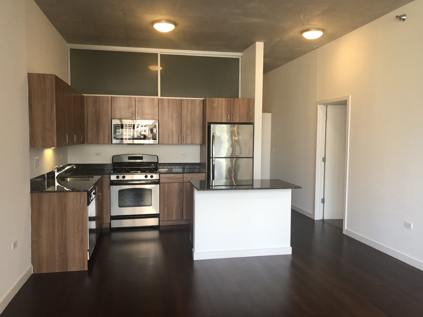 235 W Van Buren Street 3919
