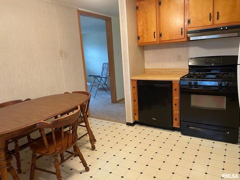 Tiny photo for 687 5TH Street, Omaha, IL 62871 (MLS # EB459902)